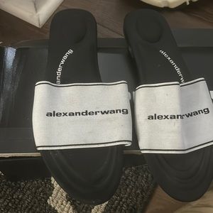 Alexander sang sandal gently used size 39 authentic